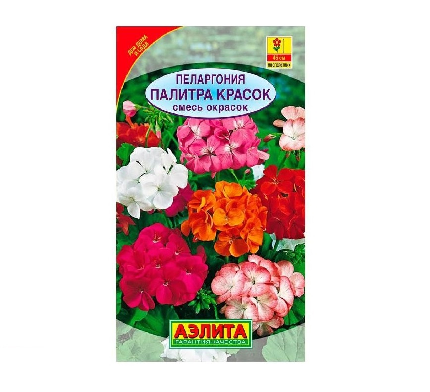 Пеларгония зональная смесь. Пеларгония зональная бордюрная смесь. Пеларгония Дивас смесь. Пеларгония зональная великолепная смесь. Пеларгония зональная палитра красок смесь сортов.